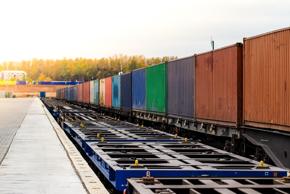 Jakie towary transportuje Treeden Group Od zboz i nawozow po paliwa oraz biomase